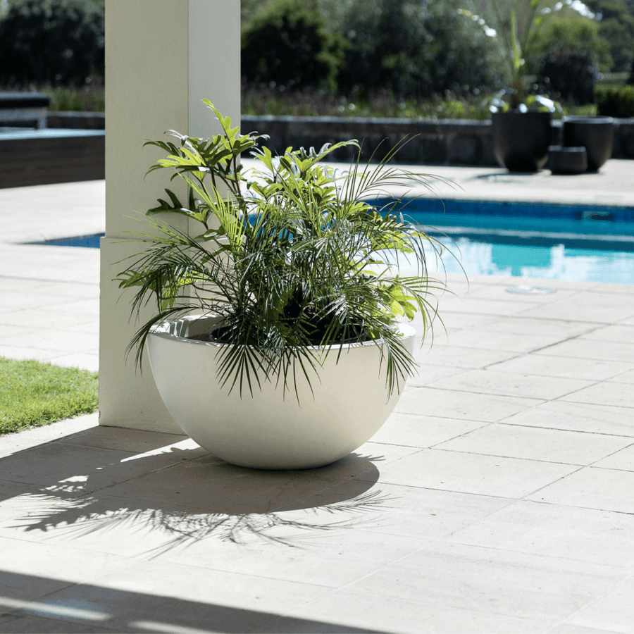 Westhampton Low Bowl White Concrete Pot - Large