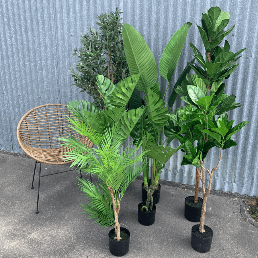 Faux Potted Monstera Plant - 1.1 Metres Tall